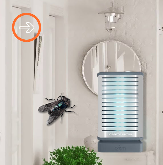 Fly Control Products